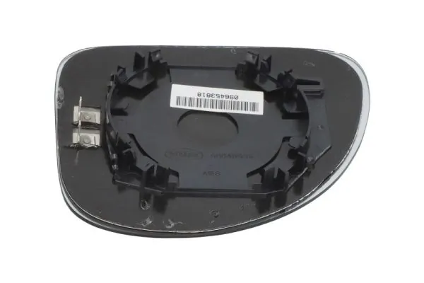 Mirror Glass, exterior mirror 6102-02-1231317P