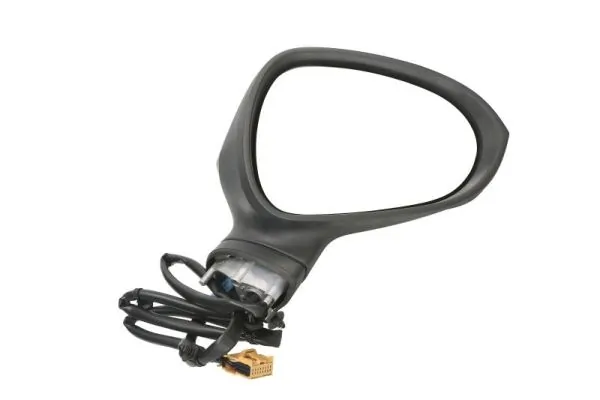 Exterior Mirror 5402-10-2002278P