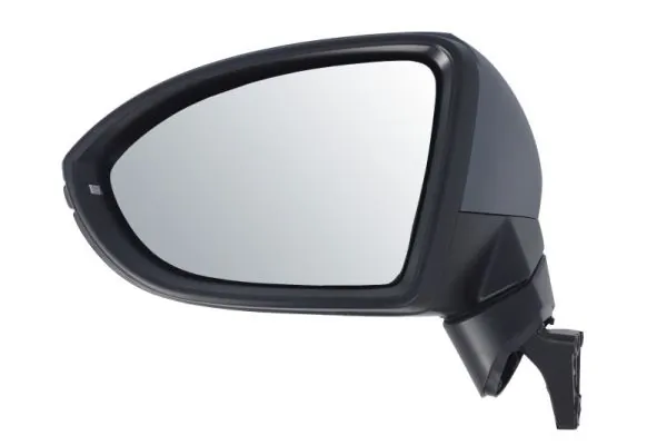 Exterior Mirror 5402-01-1617310P