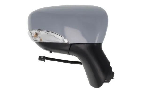 Exterior Mirror 5402-09-2002106P