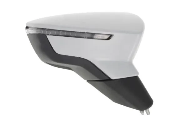 Exterior Mirror 5402-10-2002306P