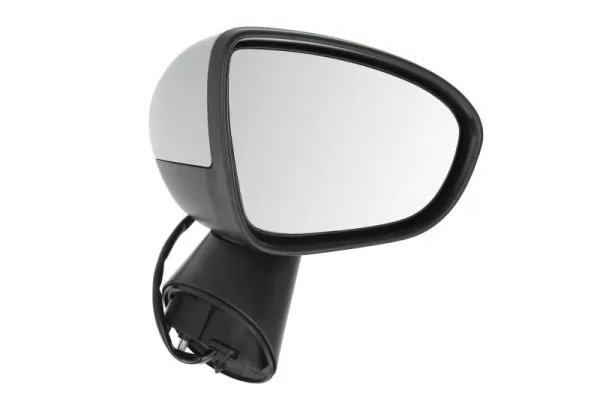 Exterior Mirror 5402-04-2002004P