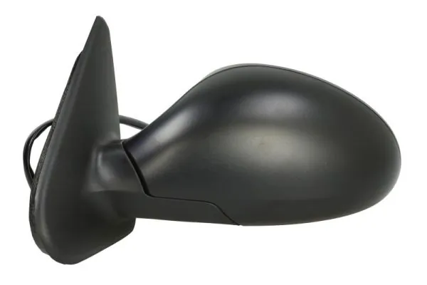 Exterior Mirror 5402-04-1125997P