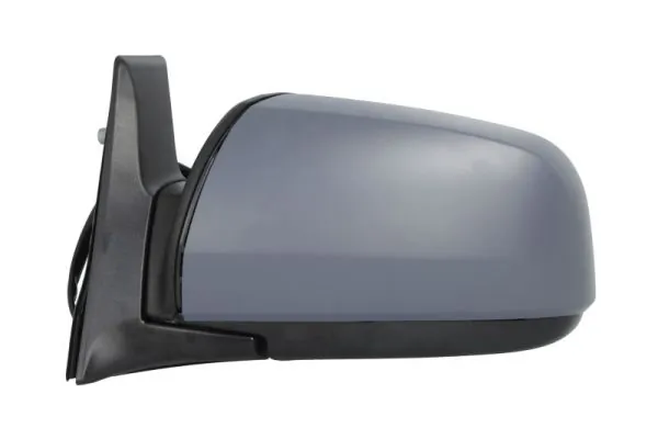 BLIC 5402-04-2002045P Exterior Mirror