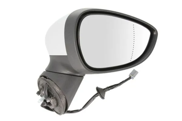 Exterior Mirror 5402-03-2001180P