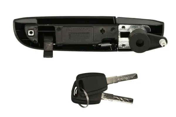 Exterior Door Handle 6010-07-0335401PP