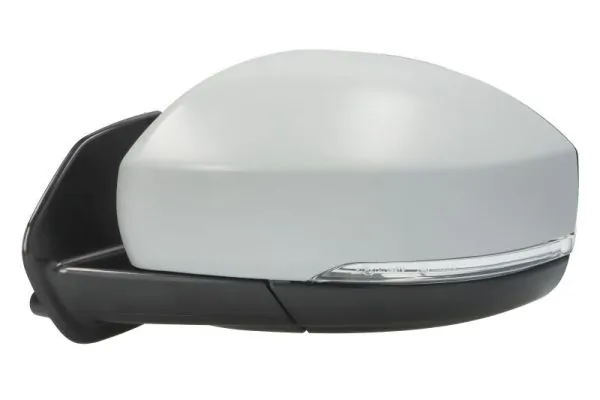 BLIC 5402-57-0697310P Exterior Mirror