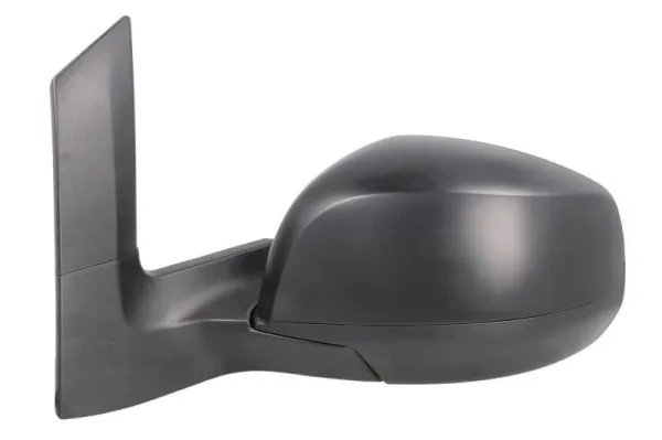 BLIC 5402-04-2001969P Exterior Mirror