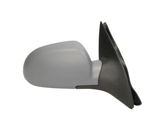 BLIC 5402-56-002360P Exterior Mirror