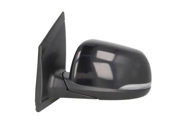 BLIC 5402-53-2001533P Exterior Mirror