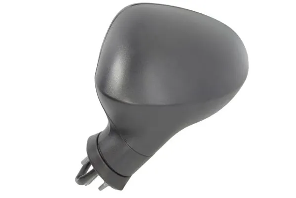 Exterior Mirror 5402-10-2002293P