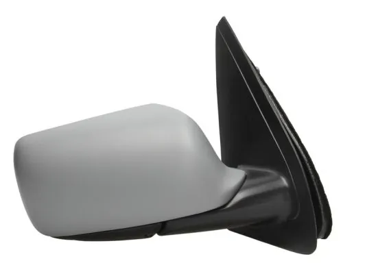 Exterior Mirror 5402-04-1122272P