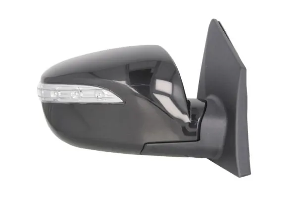 BLIC 5402-20-2001424P Exterior Mirror