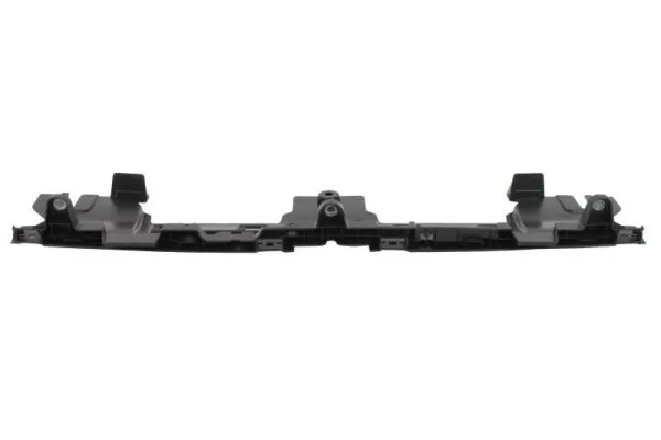 BLIC 6508-05-9586249P Trim/Protection Strip, bumper
