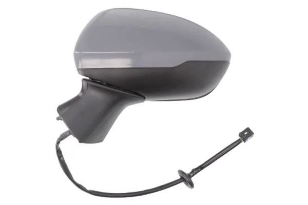 Exterior Mirror 5402-04-0405293P