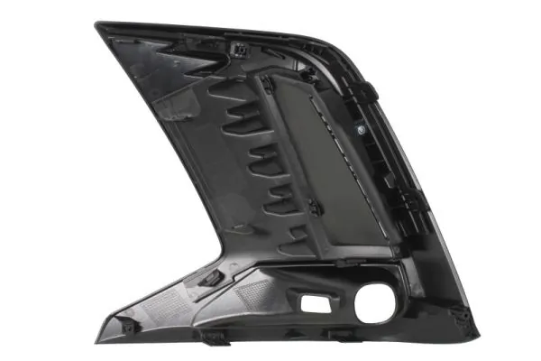 BLIC 5703-05-8169922P Trim/Protection Strip, bumper