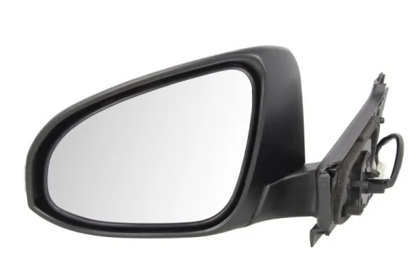 Exterior Mirror 5402-19-2002555P