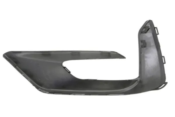 BLIC 5513-00-2595924P Trim/Protection Strip, bumper