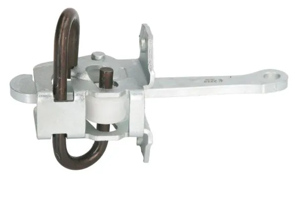 BLIC 6004-00-0201P Door Check