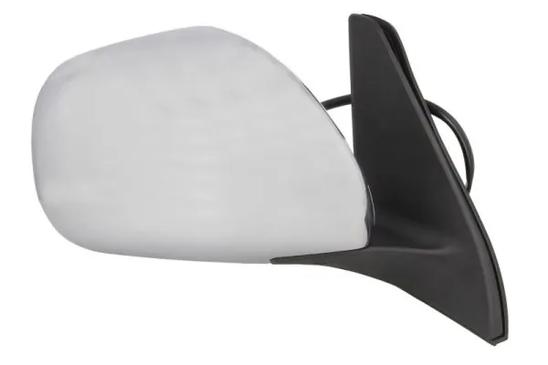 BLIC 5402-19-2002504P Exterior Mirror