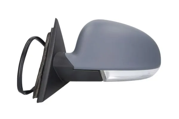 Exterior Mirror 5402-04-1139570P