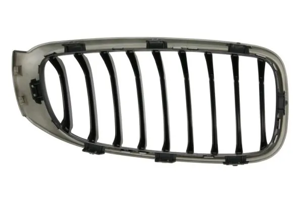 BLIC 6502-07-0081995P Radiator Grille
