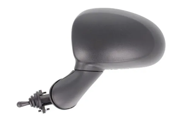 BLIC 5402-56-2001073P Exterior Mirror