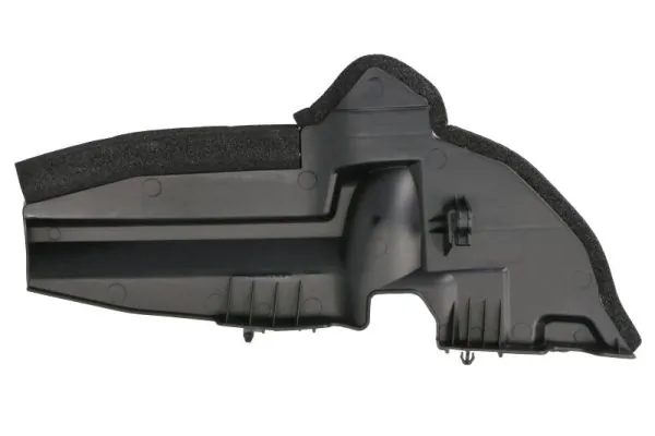 BLIC 6502-07-8199921P Ventilation Grille, bumper