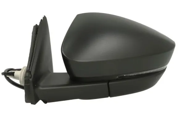 BLIC 5402-43-1926310P Exterior Mirror