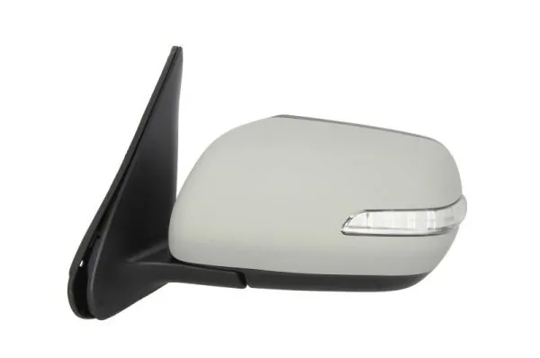 BLIC 5402-18-2002417P Exterior Mirror