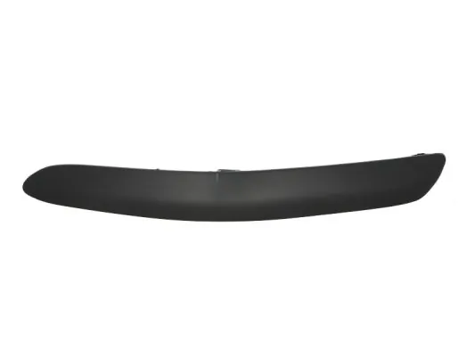 BLIC 5513-00-1632921P Trim/Protection Strip, bumper