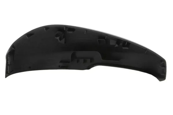 BLIC 6103-12-2501311P Mirror Glass, exterior mirror