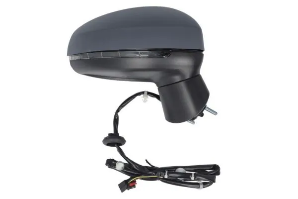 BLIC 5402-25-1629313P Exterior Mirror