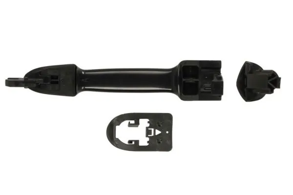BLIC 6010-07-030420LPPP Exterior Door Handle