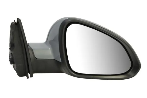 Exterior Mirror 5402-04-1121605P