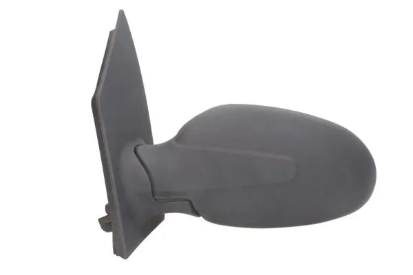 Exterior Mirror 5402-02-2002923P