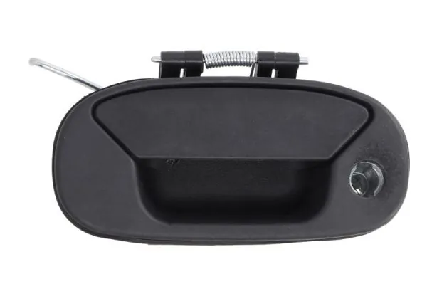 Exterior Door Handle 6010-07-029417PP