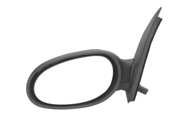 Exterior Mirror 5402-02-2002923P