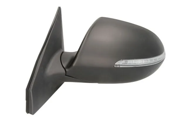 BLIC 5402-53-2001573P Exterior Mirror