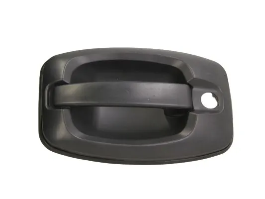 Exterior Door Handle 6010-07-038417P