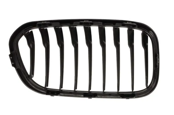 BLIC 6502-07-0086997P Radiator Grille