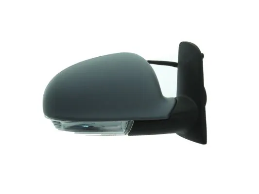 Exterior Mirror 5402-04-1139891P
