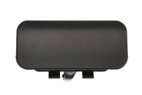 Exterior Door Handle 6010-03-025410P