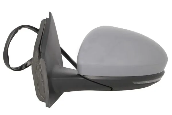 BLIC 5402-09-1231365P Exterior Mirror