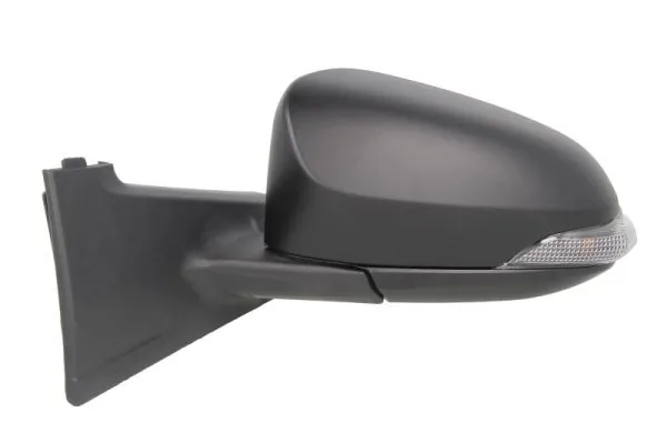 BLIC 5402-19-2002555P Exterior Mirror