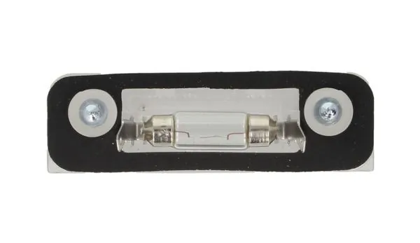 Licence Plate Light 5402-017-28-905