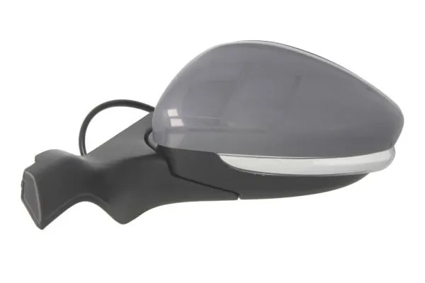 Exterior Mirror 5402-08-2002055P