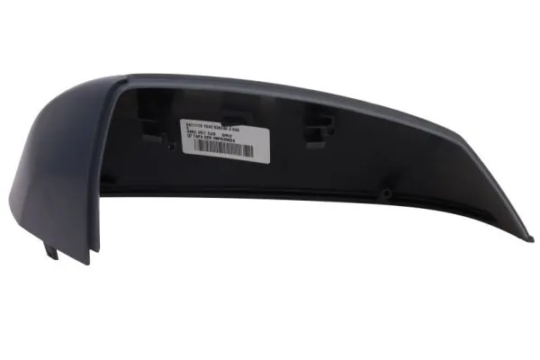 BLIC 6103-25-1875311P Cover, exterior mirror