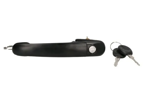Exterior Door Handle 6010-01-009401P