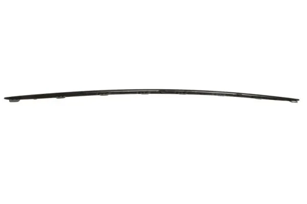 BLIC 5703-05-3519972P Trim/Protection Strip, bumper